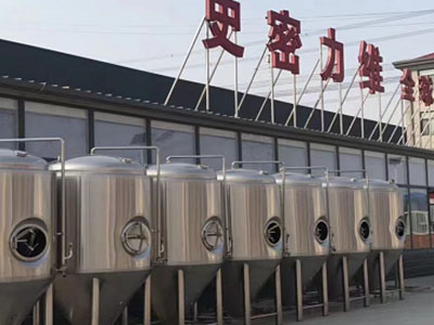 溧阳精酿啤酒设备厂—市场规模与跨界新需求